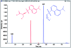 Graphical abstract: Quantitative LC-MS/MS analysis of azide and azidoalanine in in vitro samples following derivatisation with dansyl chloride