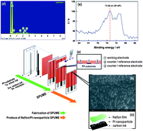 Graphical abstract: Sensitive and selective detection of iron-catalysed hydroxyl radical formation in water without chemical probes