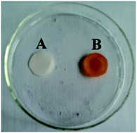 Graphical abstract: Immobilization of platinum nanoparticles and glucose oxidase on eggshell membrane for glucose detection