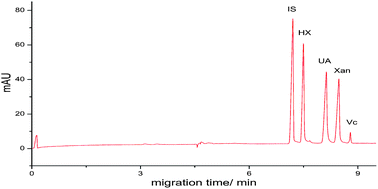 Graphical abstract: Determination of uric acid in human plasma and urine by microemulsion electrokinetic chromatography