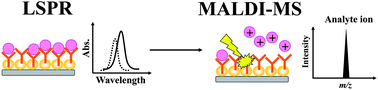 Graphical abstract: Protein-modified silver nanoplates for the complementary analytical method of localised surface plasmon resonance and matrix assisted laser desorption/ionisation mass spectrometry