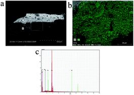Graphical abstract: Characterization of glue sizing under calcium carbonate ground layers in Flemish and Luso-Flemish painting – analysis by SEM-EDS, μ-XRD and μ-Raman spectroscopy