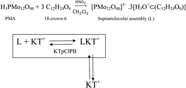 Graphical abstract: Selective ketamine recognition based on membrane potential changes induced by a hybrid organic/inorganic supramolecular assembly
