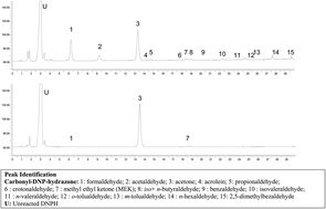 Graphical abstract: Biases in ketone measurements using DNPH-coated solid sorbent cartridges