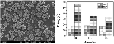 Graphical abstract: Synthesis, characterization and adsorption performance of molecularly imprinted nanoparticles for tripterine by precipitation polymerization