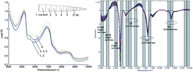 Graphical abstract: Nondestructive determination of bamboo shoots lignification using FT-NIR with efficient variables selection algorithms