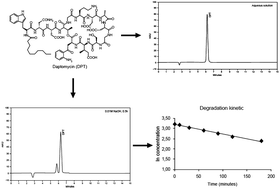 Graphical abstract: Development and validation of a stability-indication LC-UV method for determination of daptomycin injectable form and kinetic study in alkaline medium