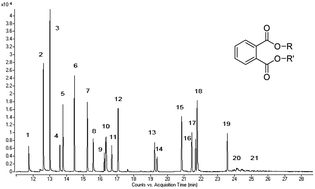 Graphical abstract: Analysis of 21 phthalate leachables in metered dose inhalers by gas chromatography tandem mass spectrometry