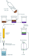 Graphical abstract: A method for determination of PGE–Re concentrations and Os isotopic compositions in environmental materials