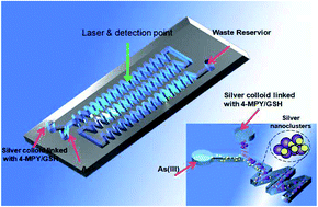 Graphical abstract: Surface-enhanced Raman scattering on a zigzag microfluidic chip: towards high-sensitivity detection of As(iii) ions
