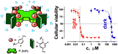Graphical abstract: Water-soluble non-aggregating zinc phthalocyanine and in vitro studies for photodynamic therapy