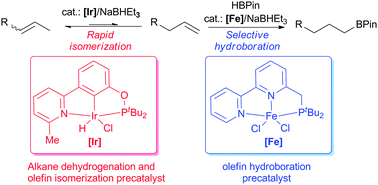 Graphical abstract: Iridium complexes of new NCP pincer ligands: catalytic alkane dehydrogenation and alkene isomerization