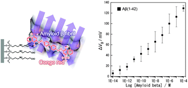 Graphical abstract: A label-free electrical assay of fibrous amyloid β based on semiconductor biosensing