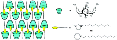 Graphical abstract: Micelle to extended multi-component bilayer systems involving decyl and dodecyl imidazolium and pyridinium cations