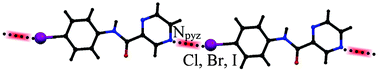 Graphical abstract: Effect of halogen bonding interaction on supramolecular assembly of halogen-substituted phenylpyrazinamides