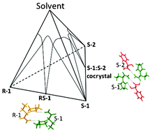 Graphical abstract: Ternary and quaternary phase diagrams: key tools for chiral resolution through solution cocrystallization