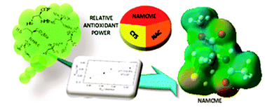 Graphical abstract: Intramolecular hydrogen-bonding activation in cysteines: a new effective radical scavenger