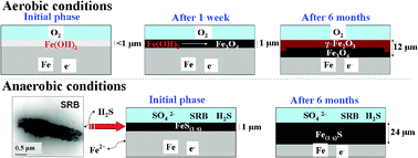 Graphical abstract: Insight into the mechanism of carbon steel corrosion under aerobic and anaerobic conditions