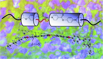 Graphical abstract: Flexible H-bonded liquid-crystals with wide enantiotropic blue phases