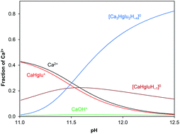 Graphical abstract: Multinuclear complex formation in aqueous solutions of Ca(ii) and heptagluconate ions