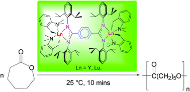Graphical abstract: Synthesis, structure and reactivity of dinuclear rare earth metal bis(o-aminobenzyl) complexes bearing a 1,4-phenylenediamidinate co-ligand