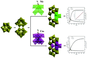 Graphical abstract: Syntheses, structures and magnetic properties of two unprecedented hybrid compounds constructed from open Wells–Dawson anions and high-nuclear transition metal clusters