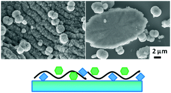 Graphical abstract: How important is polyelectrolyte complex formation in biomimetic mineralisation? Manipulation via alcohol addition
