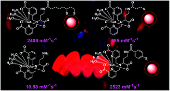 Graphical abstract: Optimizing the relaxivity of Gd(iii) complexes appended to InP/ZnS quantum dots by linker tuning
