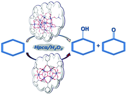 Graphical abstract: Hexanuclear and undecanuclear iron(iii) carboxylates as catalyst precursors for cyclohexane oxidation