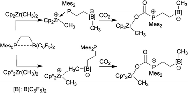 Graphical abstract: Reactions of dimethylzirconocene complexes with a vicinal frustrated P/B Lewis pair
