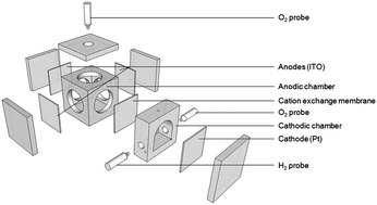 Graphical abstract: Hydrogen production through oxygenic photosynthesis using the cyanobacterium Synechocystis sp. PCC 6803 in a bio-photoelectrolysis cell (BPE) system
