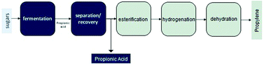 Graphical abstract: The production of propionic acid, propanol and propylene via sugar fermentation: an industrial perspective on the progress, technical challenges and future outlook