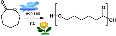 Graphical abstract: Non-toxic catalysts for ring-opening polymerizations of biodegradable polymers at room temperature for biohybrid materials