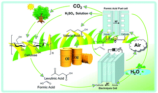 Graphical abstract: Integrated electrocatalytic processing of levulinic acid and formic acid to produce biofuel intermediate valeric acid