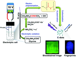 Graphical abstract: Electrochemical synthesis of photoluminescent carbon nanodots from glycine for highly sensitive detection of hemoglobin