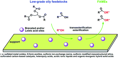Graphical abstract: Advancements in solid acid catalysts for biodiesel production