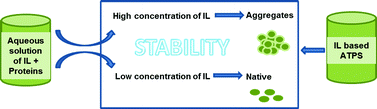 Graphical abstract: Extraction and stability of selected proteins in ionic liquid based aqueous two phase systems