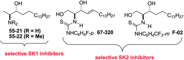 Graphical abstract: Novel sphingosine-containing analogues selectively inhibit sphingosine kinase (SK) isozymes, induce SK1 proteasomal degradation and reduce DNA synthesis in human pulmonary arterial smooth muscle cells