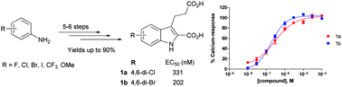 Graphical abstract: Improved synthesis of 4-/6-substituted 2-carboxy-1H-indole-3-propionic acid derivatives and structure–activity relationships as GPR17 agonists