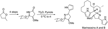 Graphical abstract: A concise approach to the spiroiminal fragment of marineosins