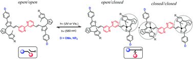Graphical abstract: New fluorescent bis-dithienylethene (DTE)-based bipyridines as reverse interrupters: single vs. double photochromism