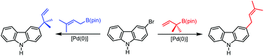 Graphical abstract: Regioselective prenylation of bromocarbazoles by palladium(0)-catalysed cross coupling – synthesis of O-methylsiamenol, O-methylmicromeline and carquinostatin A