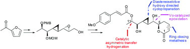Graphical abstract: Towards the diastereoselective synthesis of derivative of 11′-epi-brevipolide H