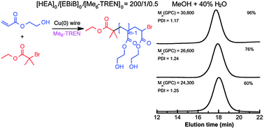 Graphical abstract: SET-LRP of 2-hydroxyethyl acrylate in protic and dipolar aprotic solvents
