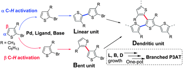 Graphical abstract: Thiophene based hyperbranched polymers with tunable branching using direct arylation methods