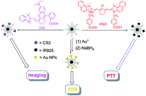 Graphical abstract: A versatile Fe3O4 based platform via iron-catalyzed AGET ATRP: towards various multifunctional nanomaterials
