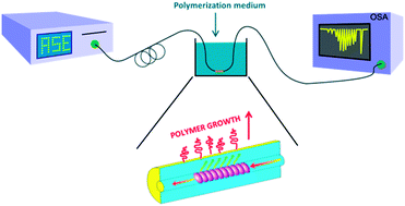 Graphical abstract: Tilted fiber Bragg gratings as a new sensing device for in situ and real time monitoring of surface-initiated polymerization