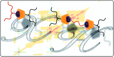 Graphical abstract: Supramolecular X- and H-shaped star block copolymers via cyclodextrin-driven supramolecular self-assembly