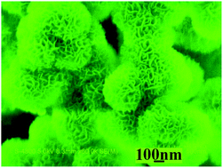 Graphical abstract: Magnetic Ni/α-Ni(OH)2 porous superstructures: synthesis, influencing factors and applications in the removal of heavy metals