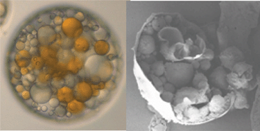 Graphical abstract: Facile, controlled, large scale fabrication of novel capsule clusters